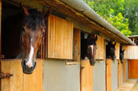free Colden Common stable construction quotes